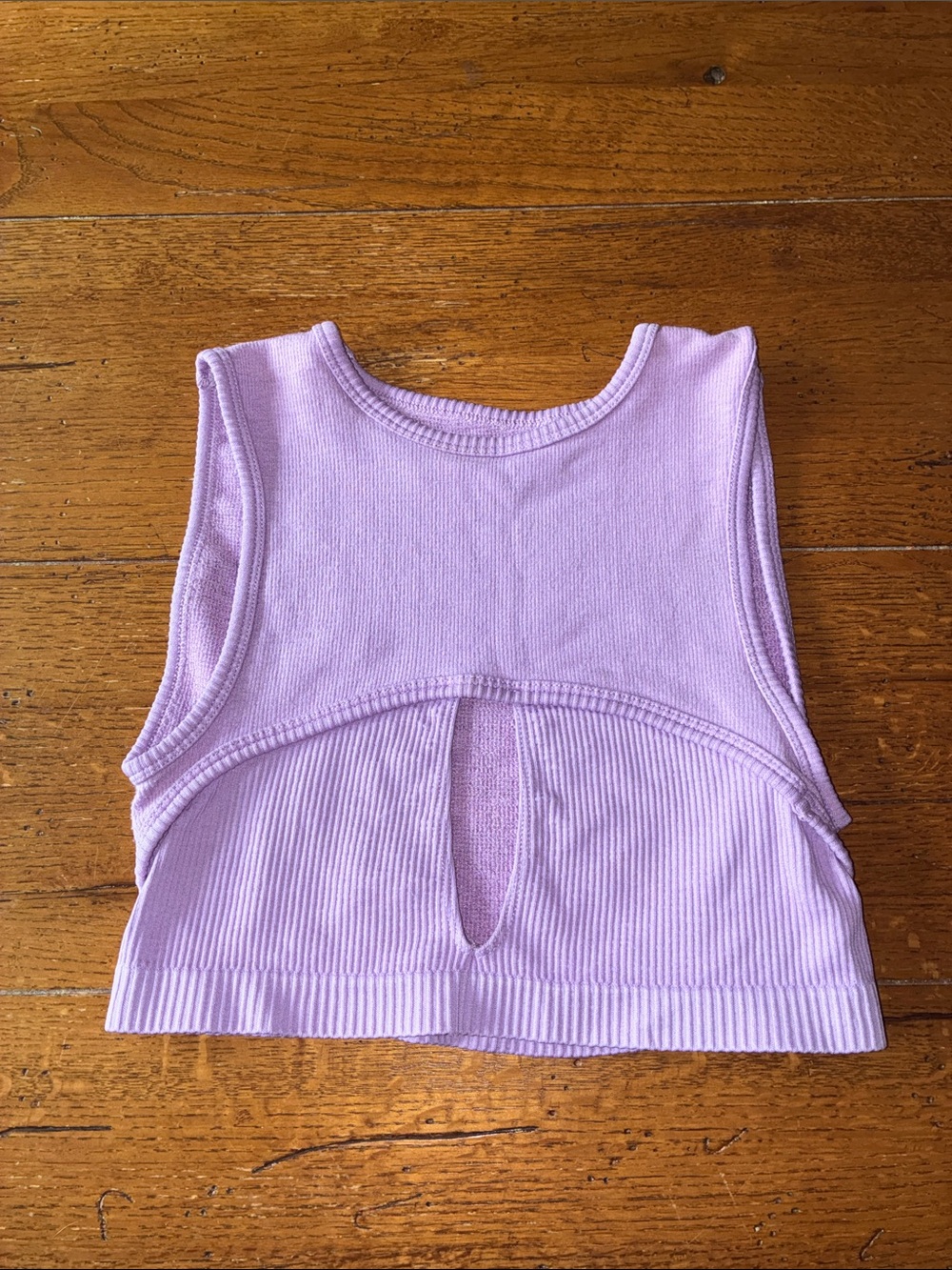 Urban Outfitters Lavender Ribbed Knit Crop Top